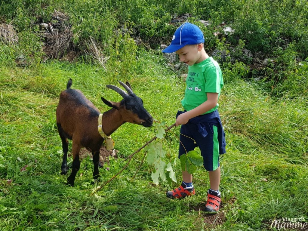 Alpe Cimbra estate in montagna con bambini a Folgaria -Maso Guez-