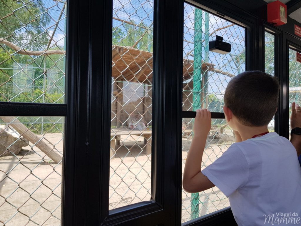 Zoo Safari Piemonte
