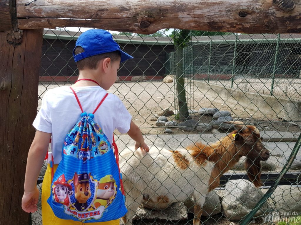 Safari Park lo zoo di Pombia in Piemonte 