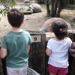 Una giornata a Le Cornelle Parco Faunistico con bambini