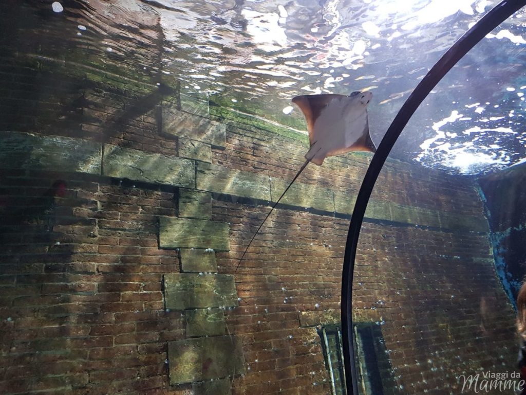 Livorno aquarium