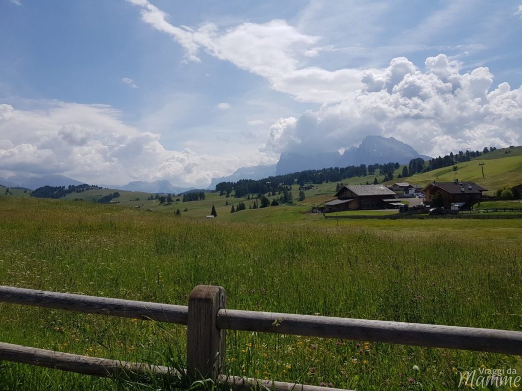 Alpe di Siusi in estate