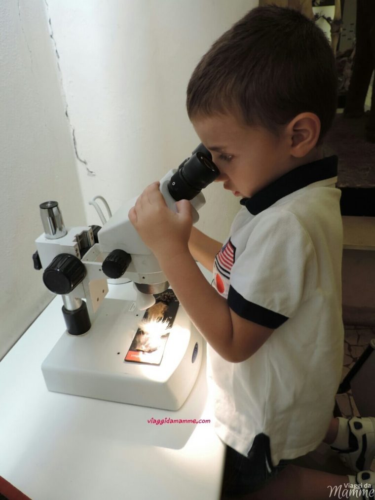 Bergamo con bambini Museo Civico di