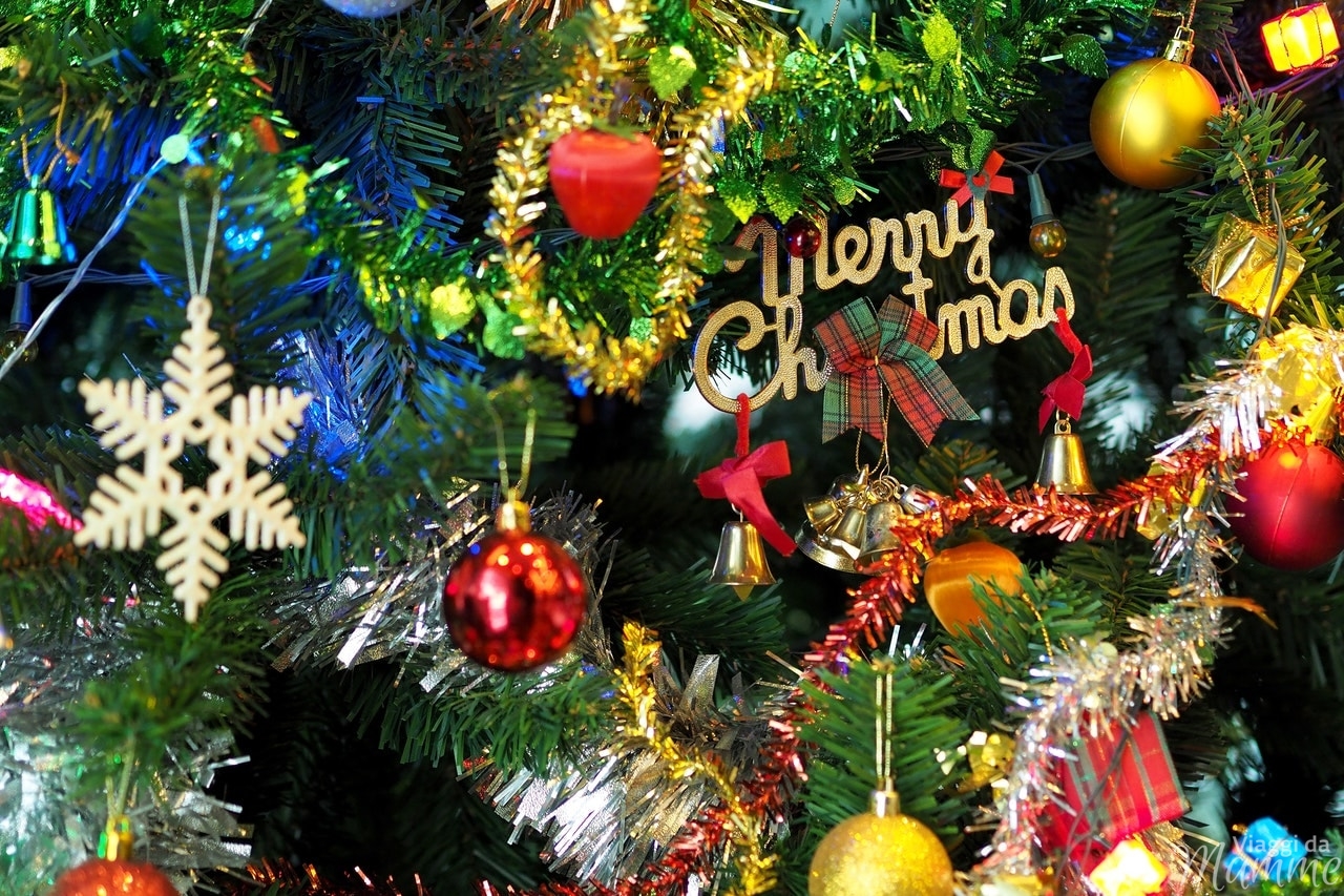 Natale : Porta Cioccolatini e Biscotti Natalizi - Albero di Natale